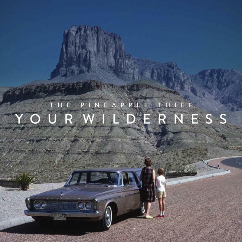 Picture of The Pineapple Thief - Your Wilderness
