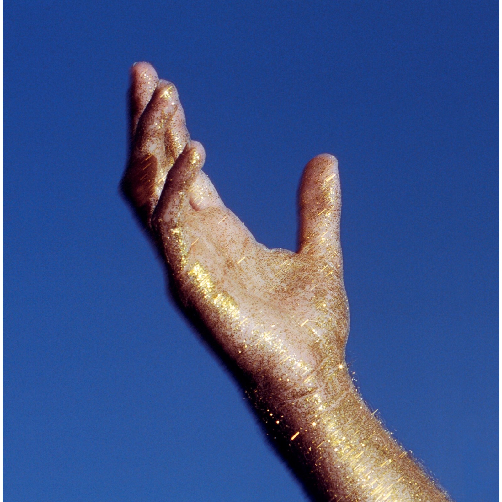 Picture of The Radicant - We Ascend