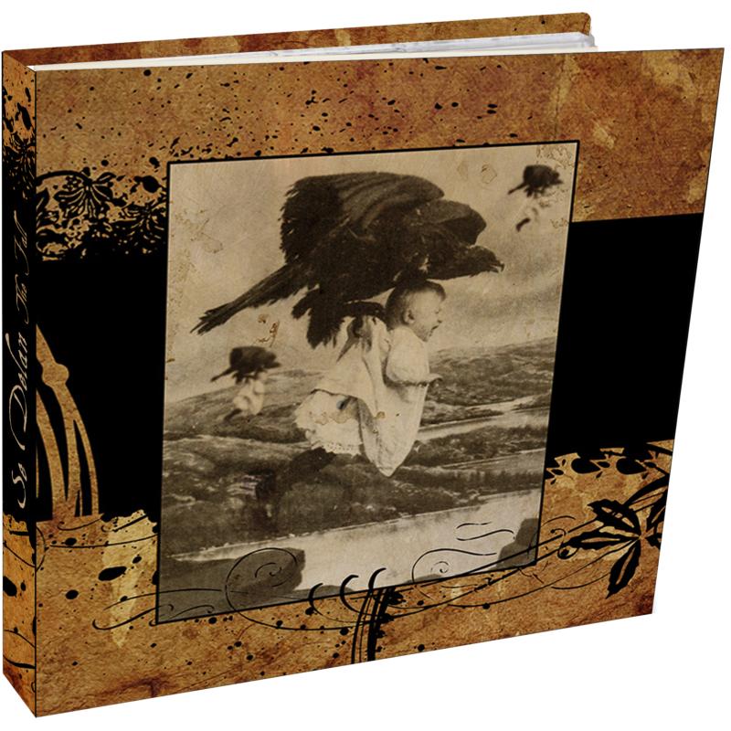 Picture of Se Delan - The Fall