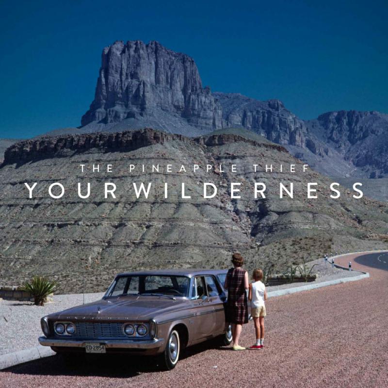 Picture of Pineapple Thief - Your Wilderness