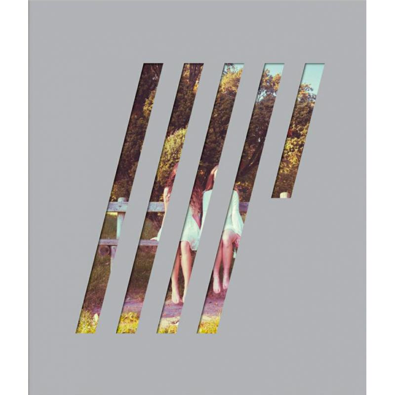 Picture of Steven Wilson - 4 1/2