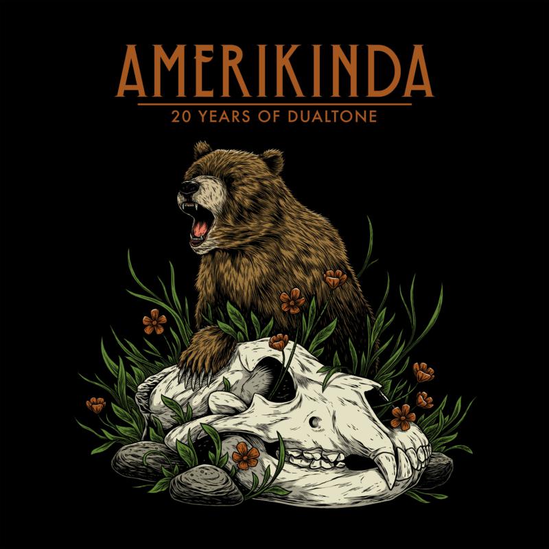 Picture of Various Artists - Amerikinda: 20 Years Of Dualtone