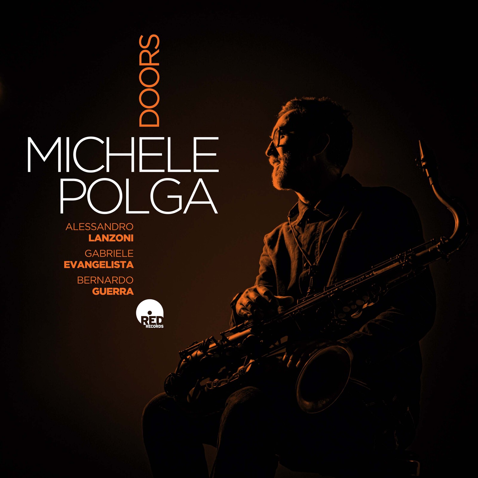 Picture of Michele Polga - Doors
