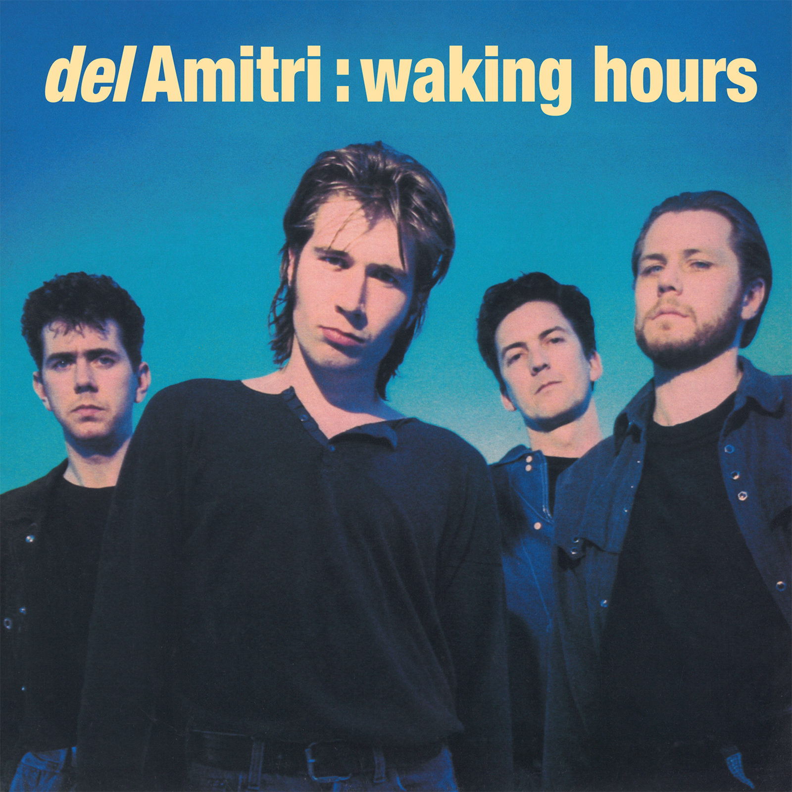 Picture of Del Amitri - Waking Hours