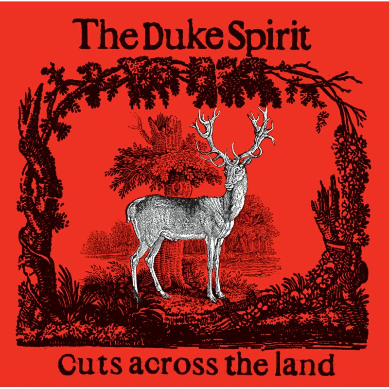 Picture of Duke Spirit - Cuts Across The Land (Deluxe)