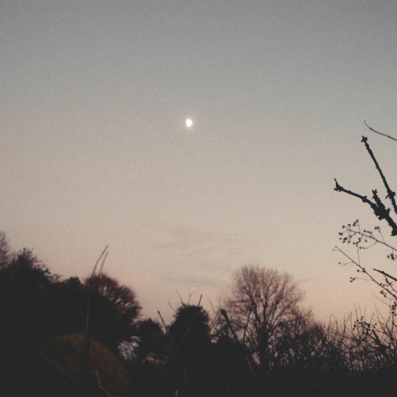 Picture of Rachel Sermanni - Dreamer Awake