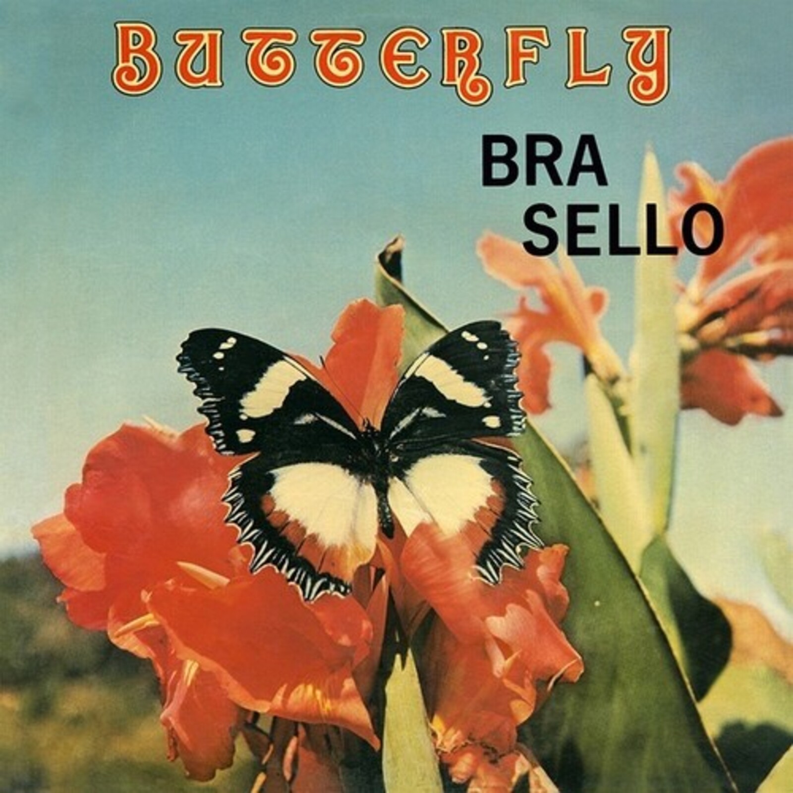 Picture of BRA SELLO - BUTTERFLY