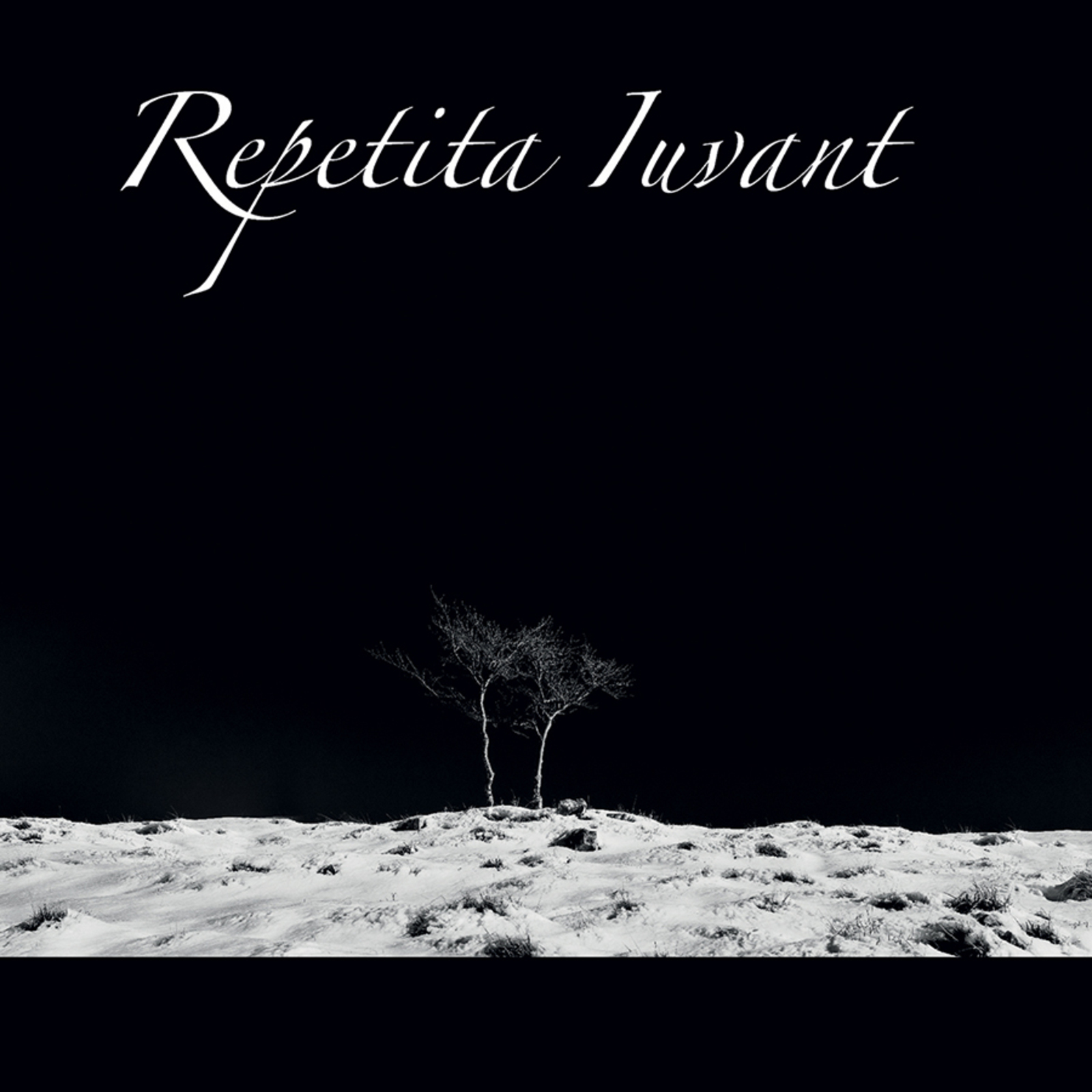 Picture of Repetita Iuvant - Square Root of Two