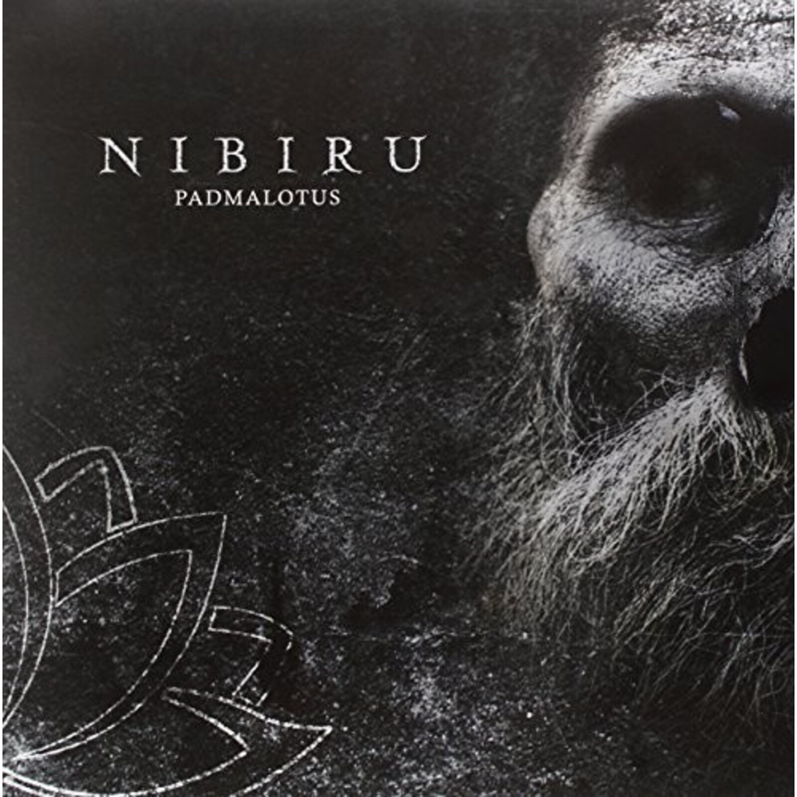 Picture of NIBIRU - PADMALOTUS