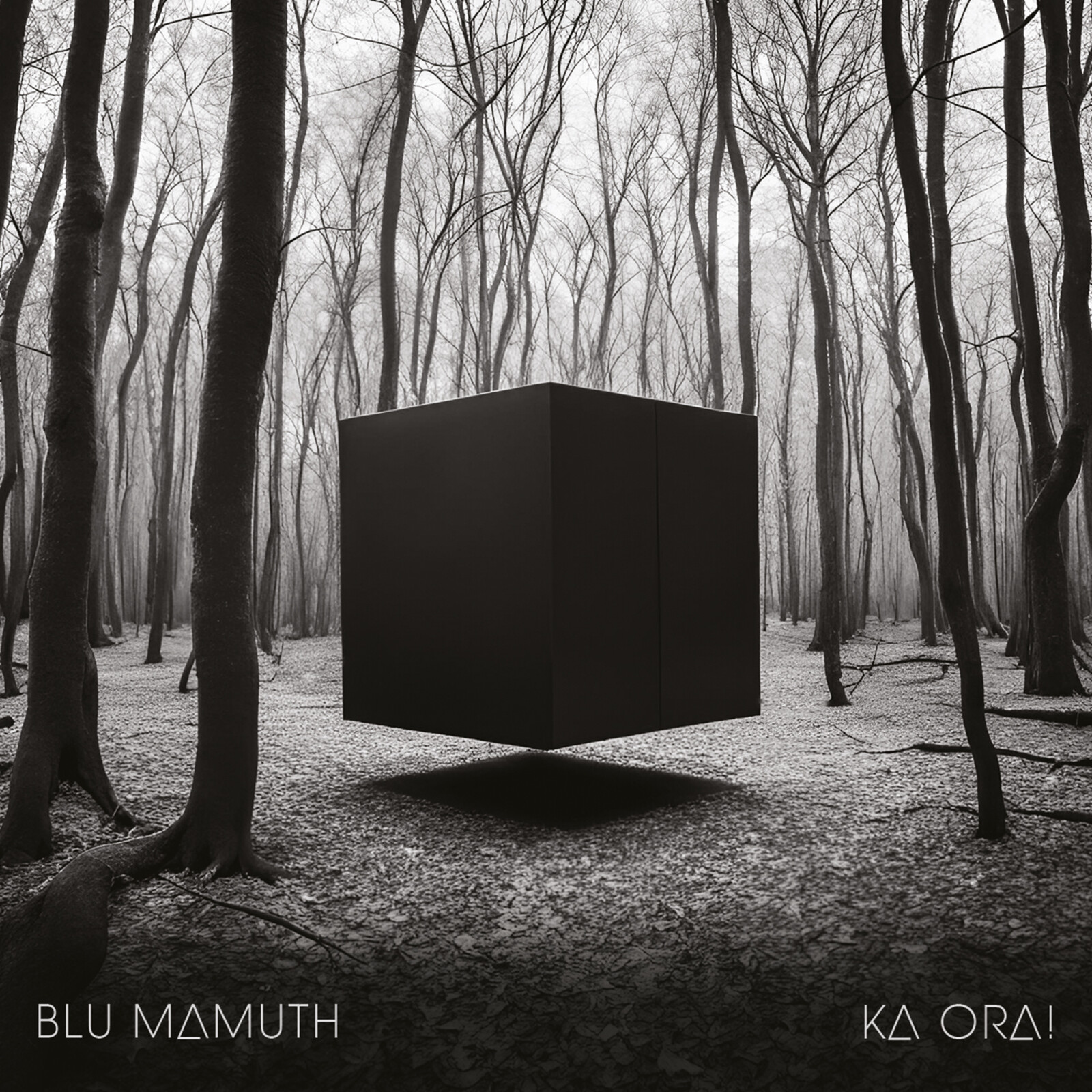 Picture of Blu Mamuth - Ka Ora!