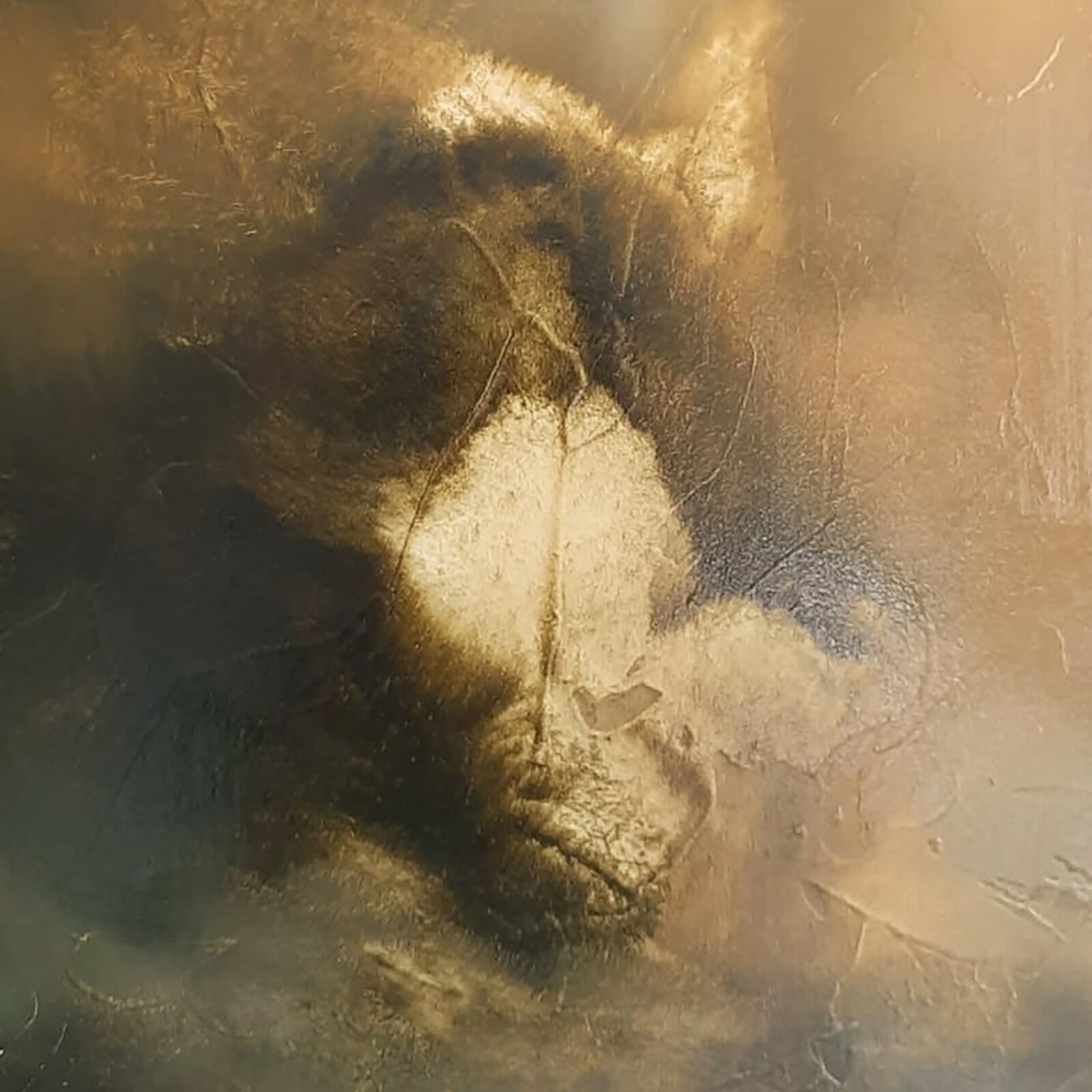 Picture of Gurnslinger - Who Killed the World?