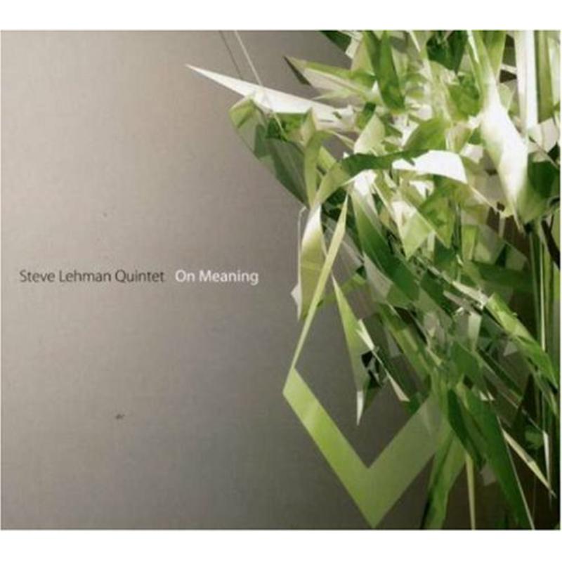 Picture of Steve Lehman - On Meaning