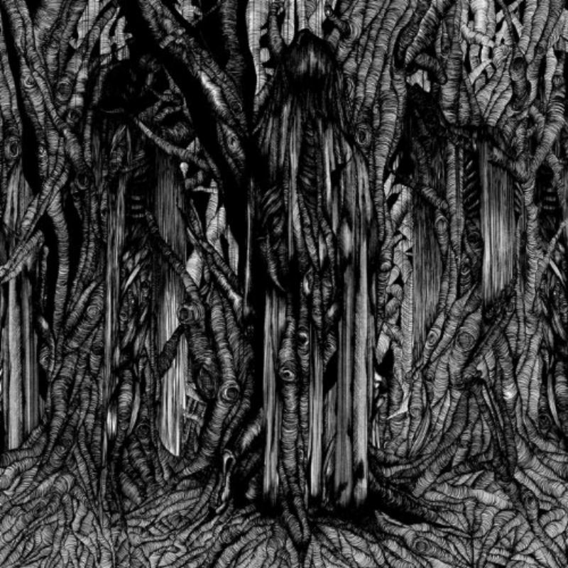 Picture of Sunn O))) - Black One