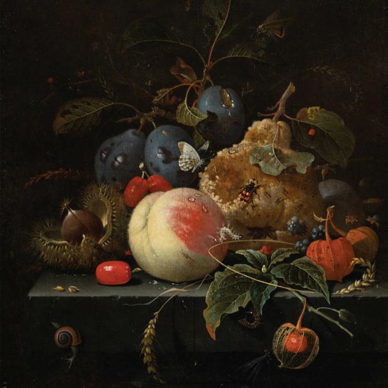 Picture of Unwed Sailor - Truth Or Consequences