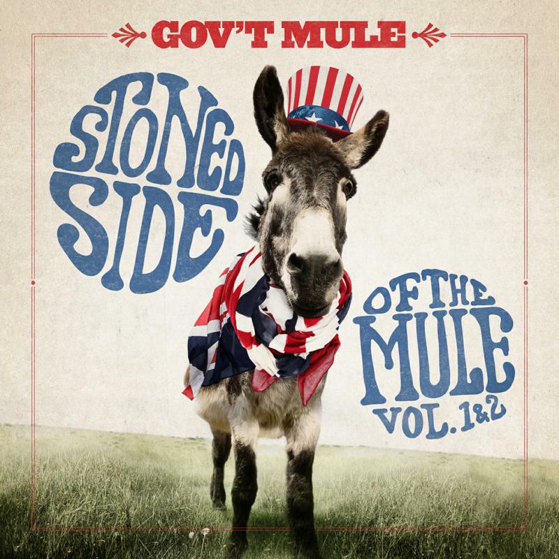 Picture of Gov't Mule - Stoned Side Of The Mule
