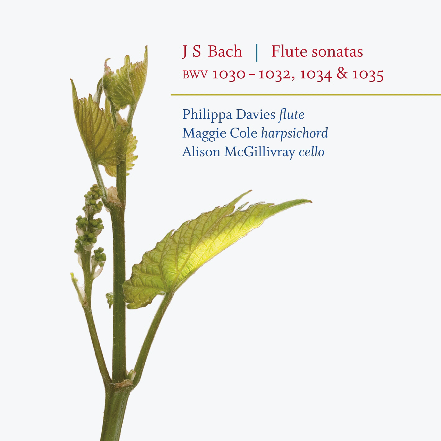 Picture of Philippa Davies - J S Bach: Flute Sonatas