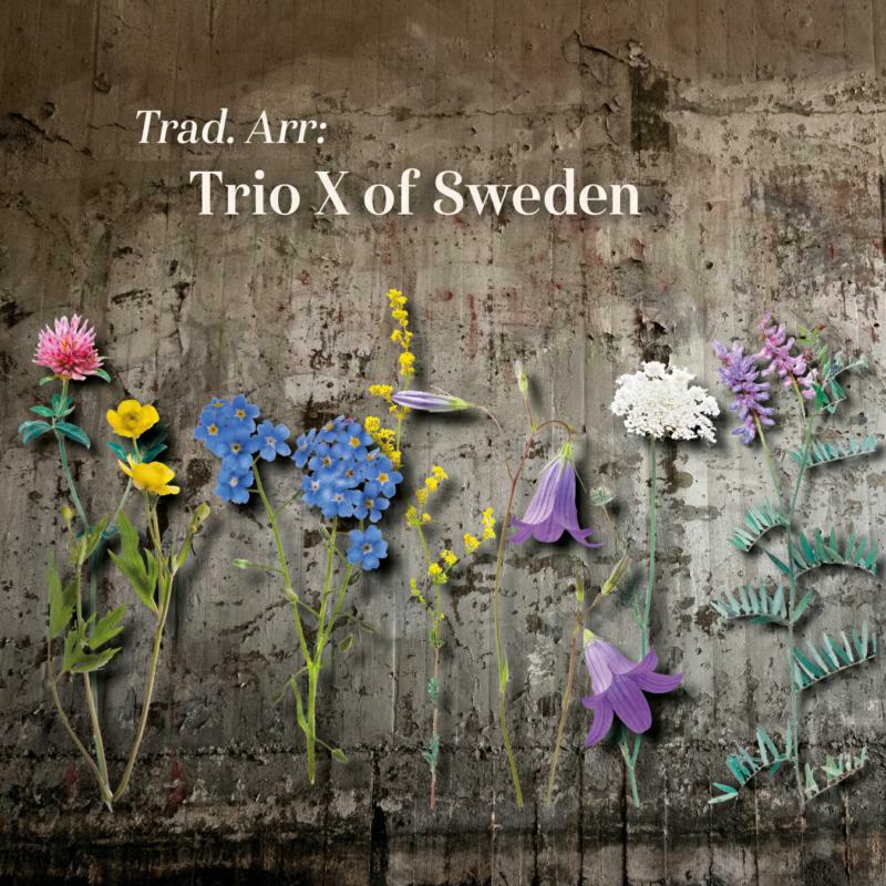 Picture of Trio X Of Sweden - Trad. Arr: Trio X of Sweden