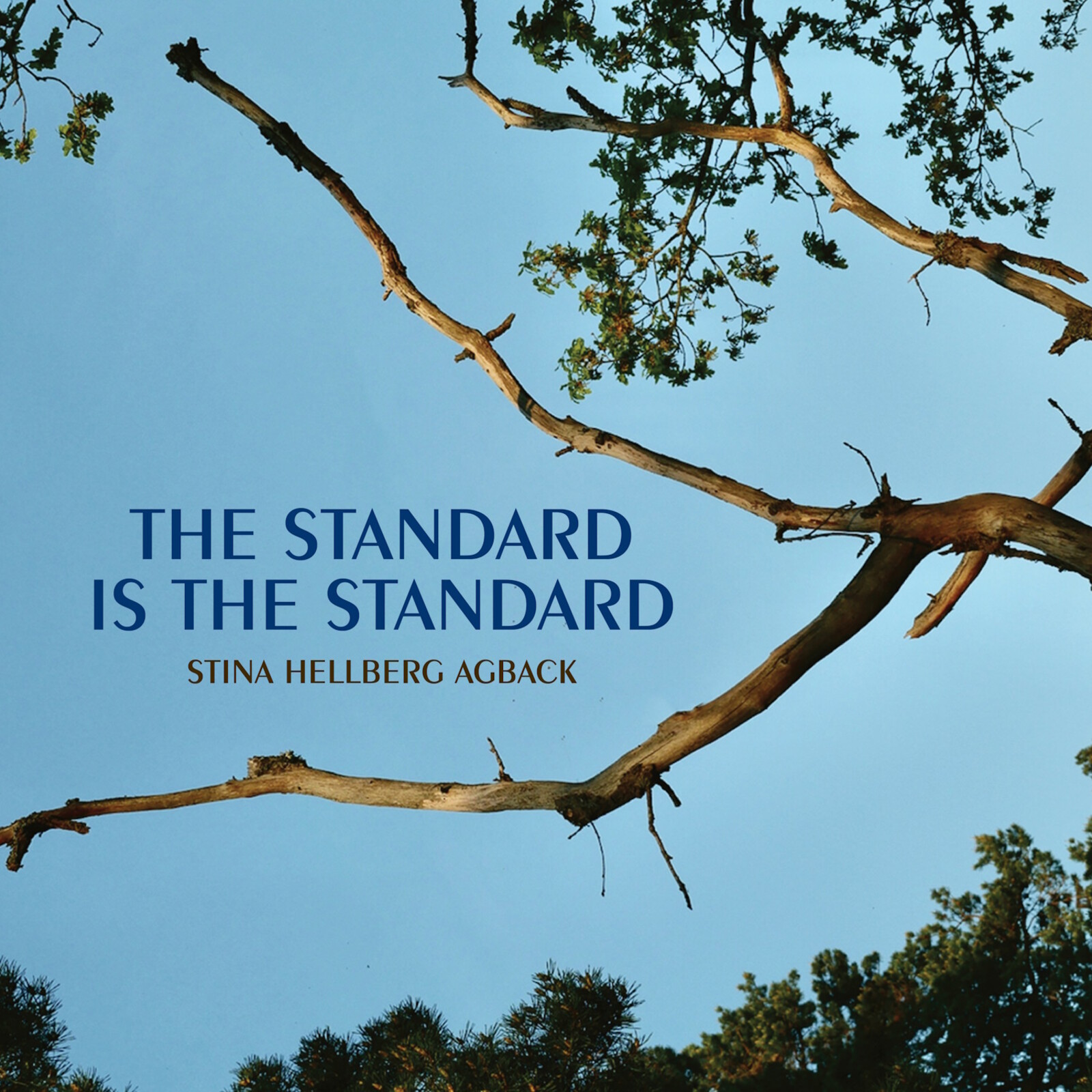 Picture of Stina Hellberg Agback; Filip Augustsson; Jon Falt - The Standard is The Standard