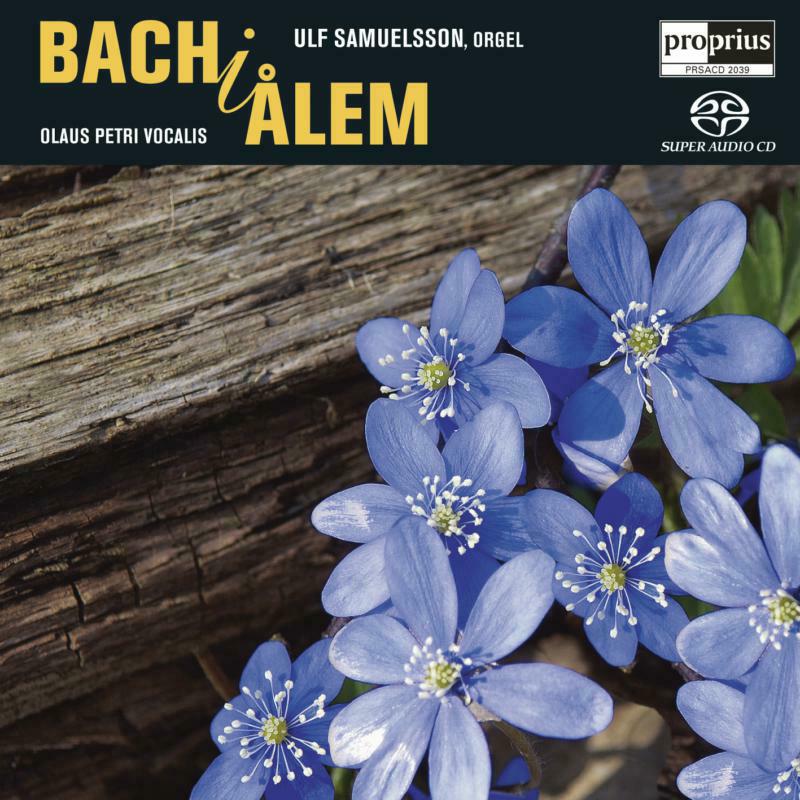 Picture of Ulf Samuelsson - BACH: BACH IN ALEM