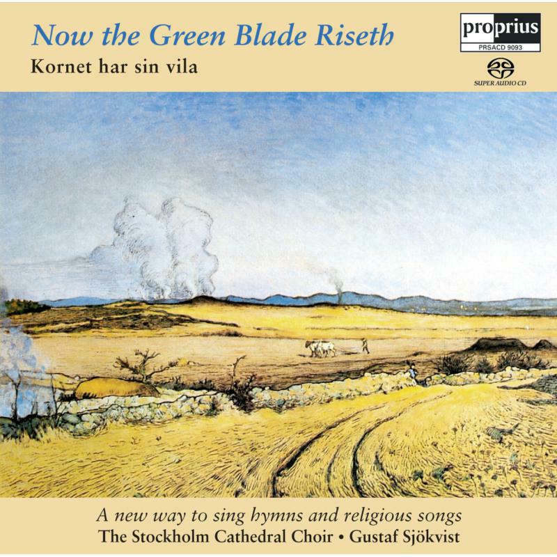 Picture of Stockholm Cath Choir:Sjokvist - Now the green Blade Riseth