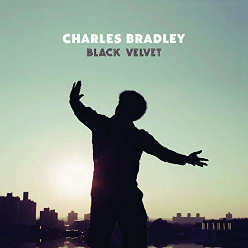 Picture of Charles Bradley - Black Velvet