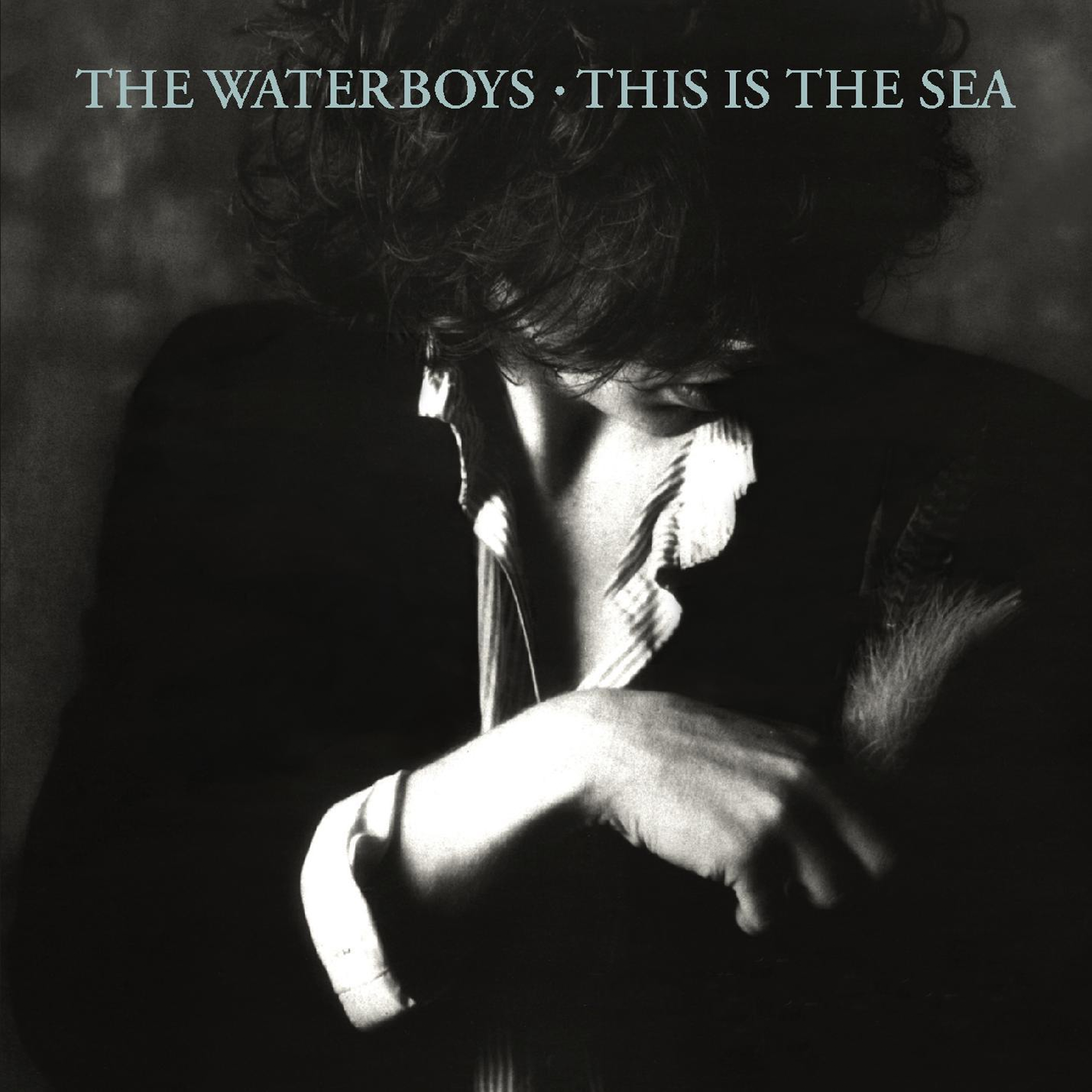 Picture of The Waterboys - This Is the Sea