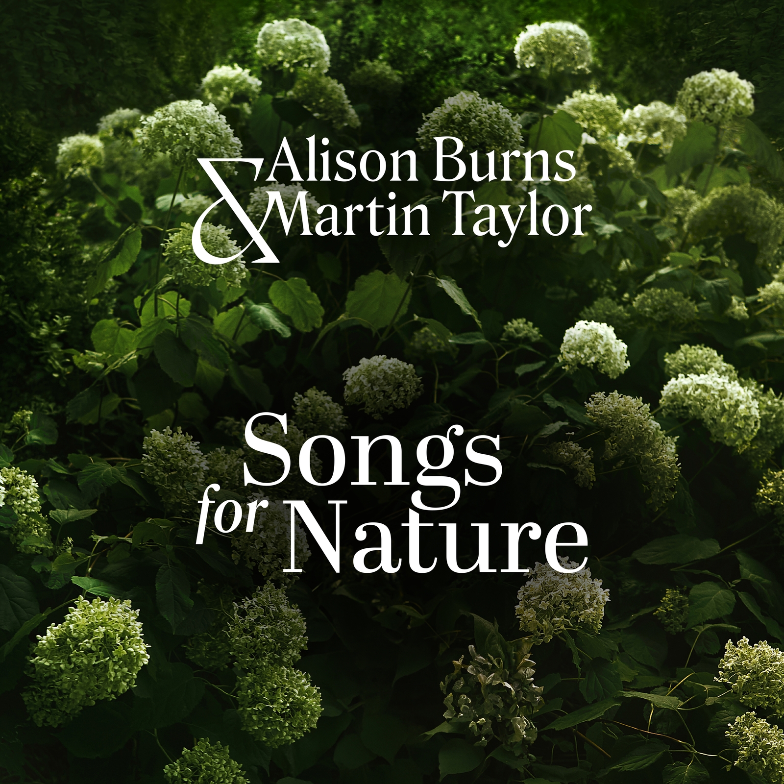 Picture of Alison Burns & Martin Taylor - Songs for Nature