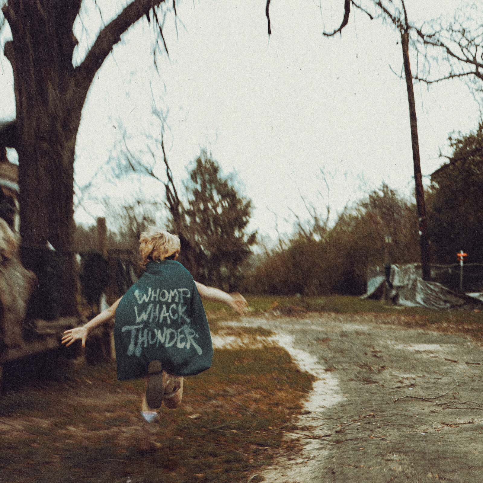 Picture of Whiskey Myers - Whomp Whack Thunder