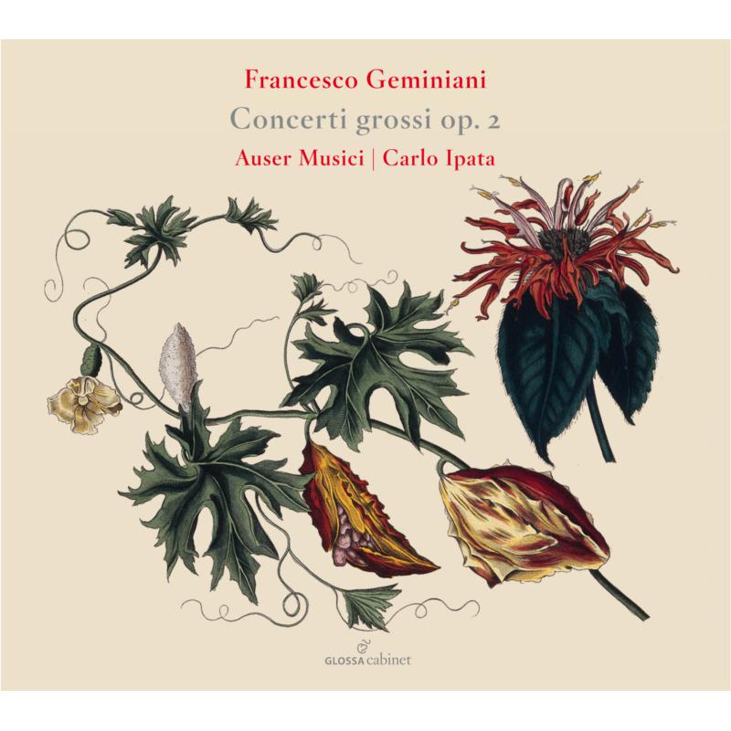 Picture of Auser Musici; Carlo Ipata - Francesco Geminiani: Concerti Grossi Op. 2