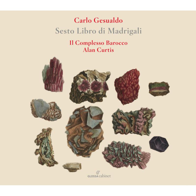 Picture of Il Complesso Barocco; Alan Curtis - Carlo Gesualdo: Sesto Libro Di Madrigali