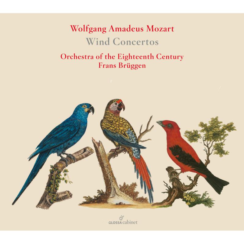 Picture of Orchestra Of The 18th Century; Frans Bruggen - WA Mozart: Wind Concertos