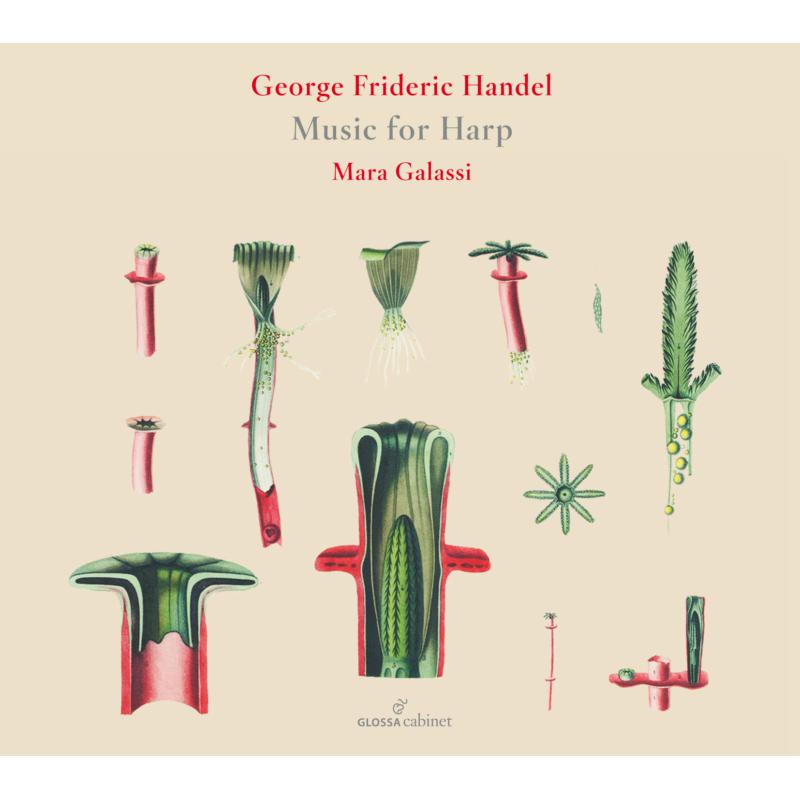 Picture of Mara Galassi - George Frideric Handel: Music For Harp