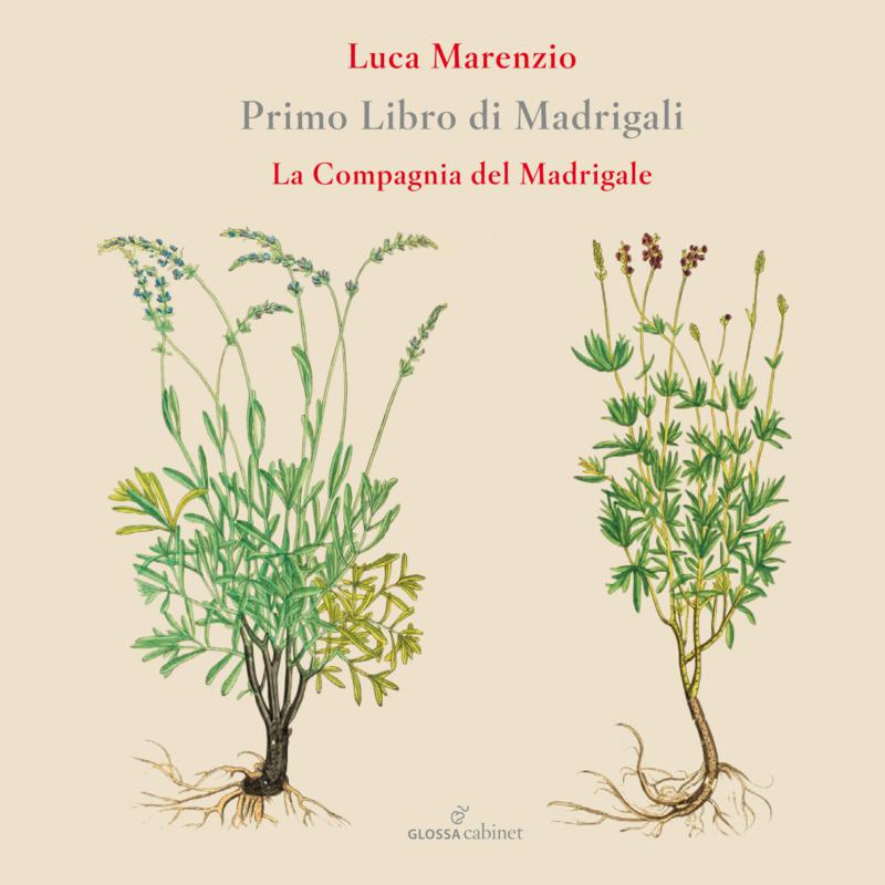 Picture of La Compagnia Del Madrigale - Luca Marenzio: Primo Libro Di Madrigali