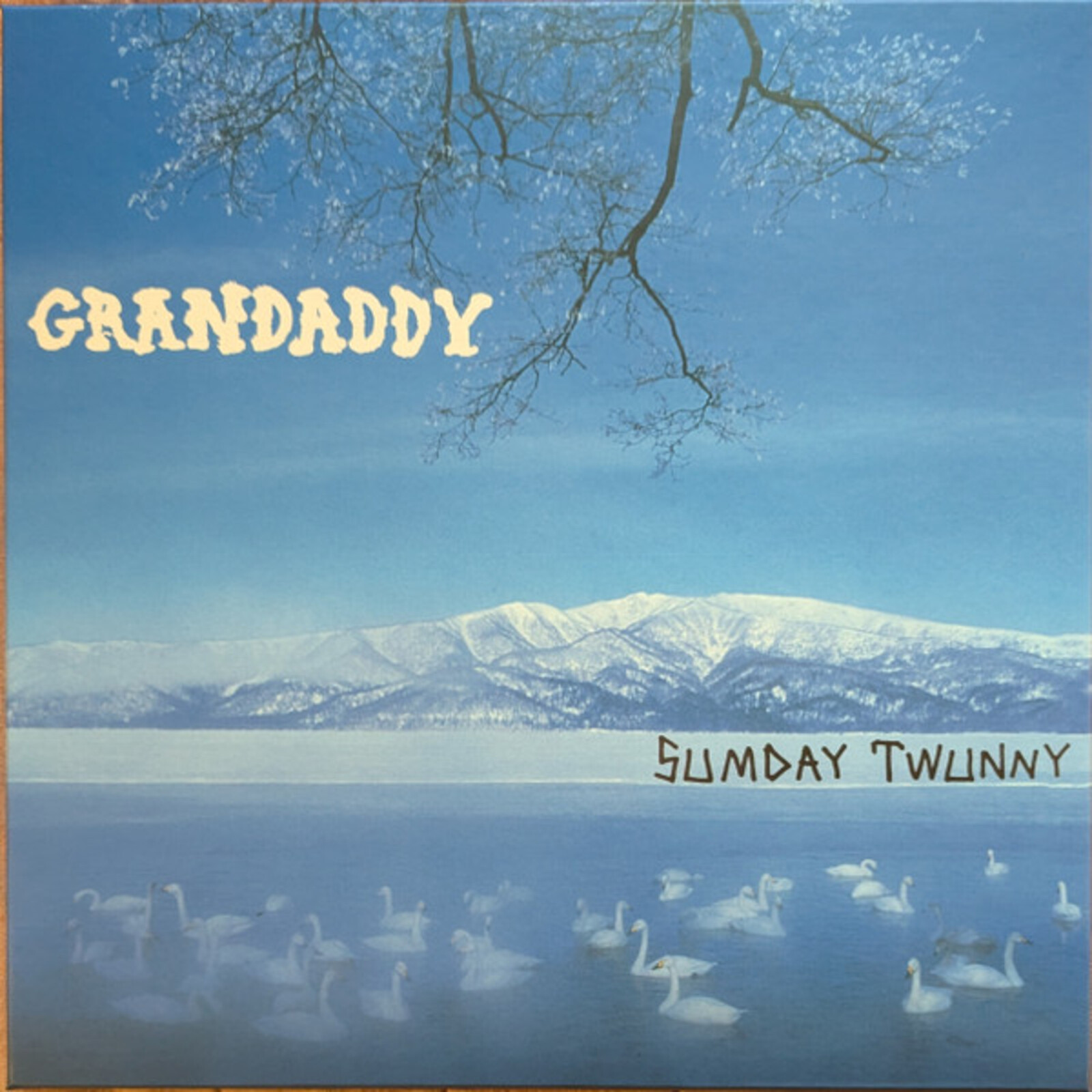 Picture of Grandaddy - Sumday: Twunny