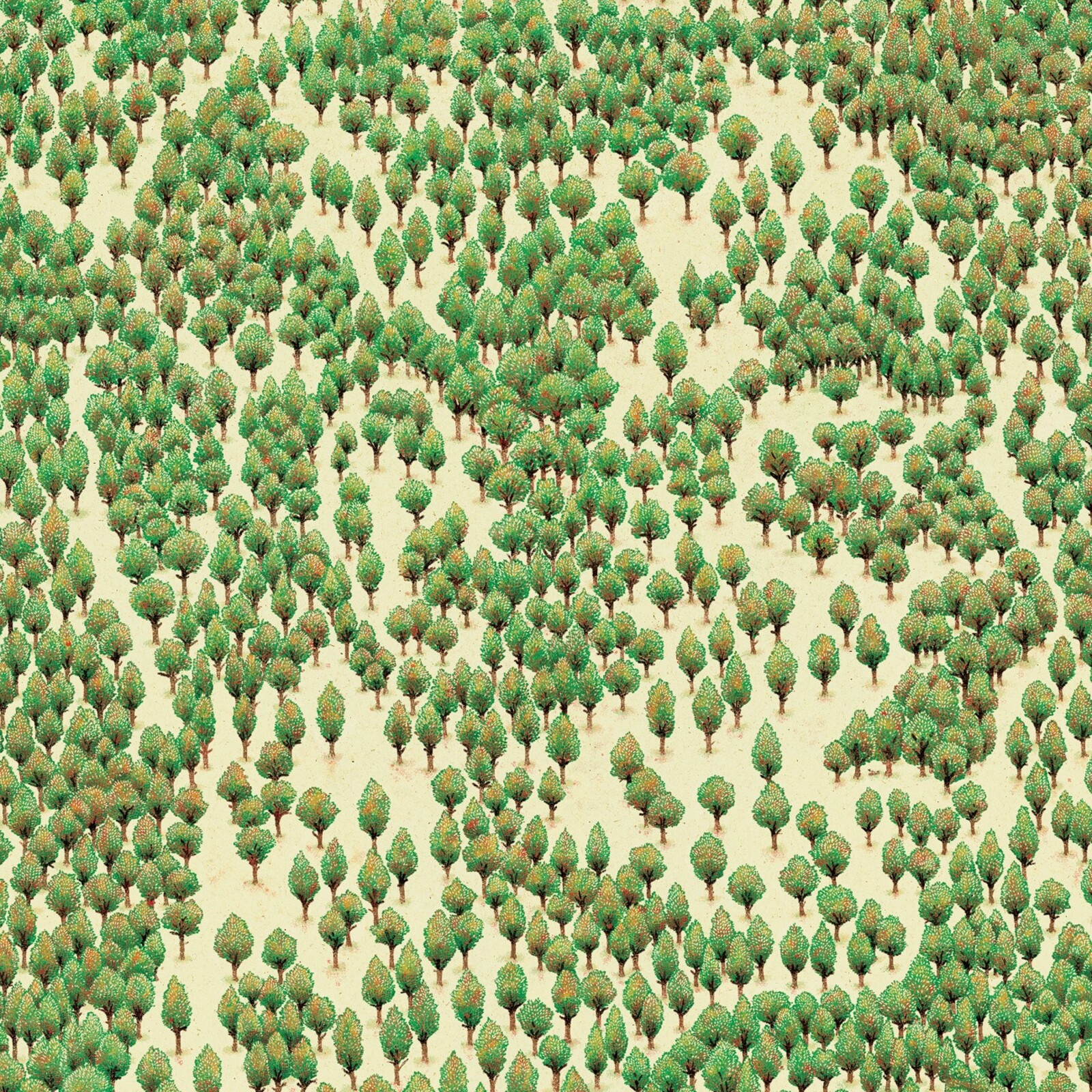 Picture of Ibon Errazkin - Claros Del Bosque