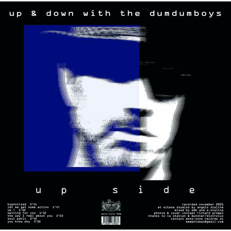 Picture of Dum Dum Boys - Up & Down With The Dum Dum Boys