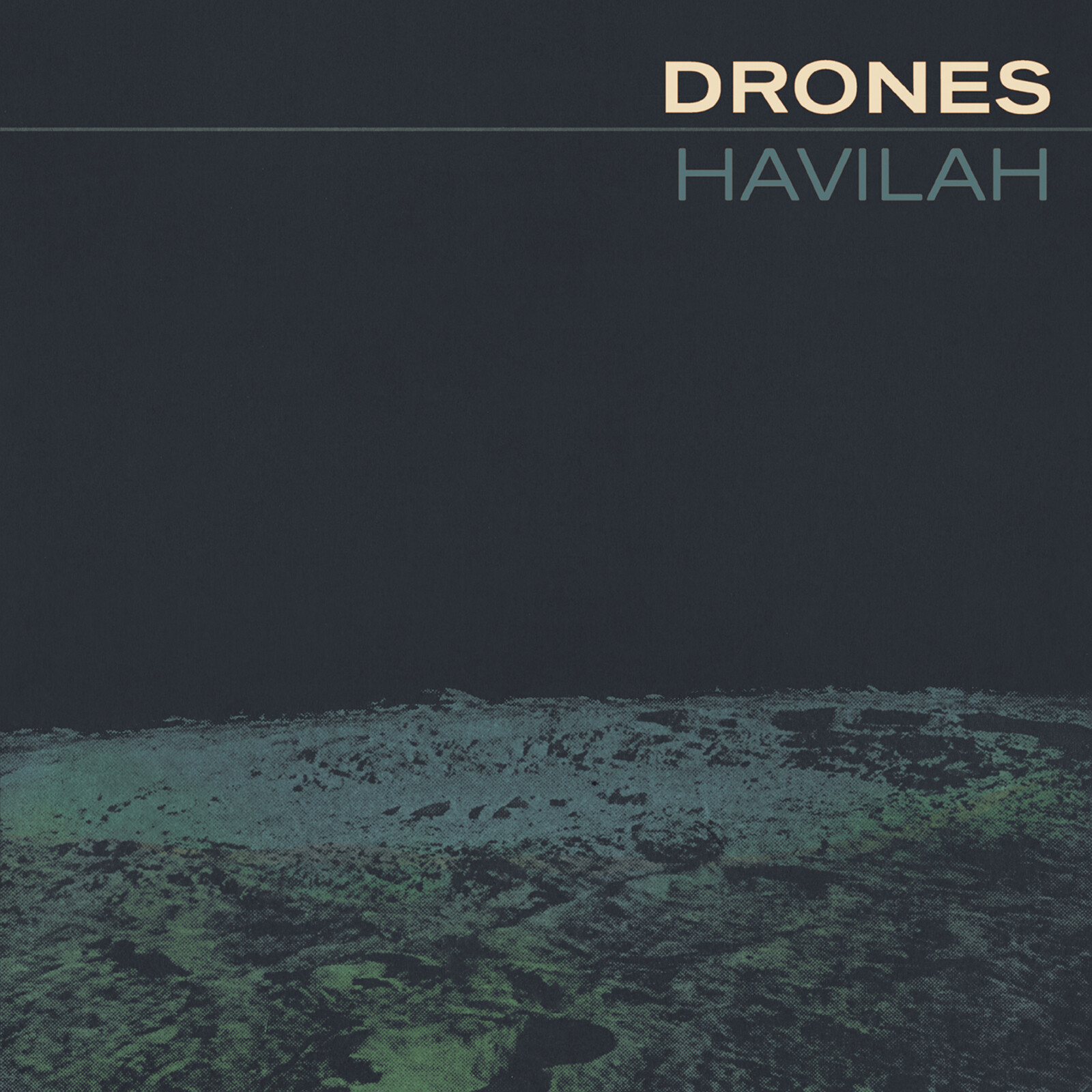 Picture of The Drones - Havilah