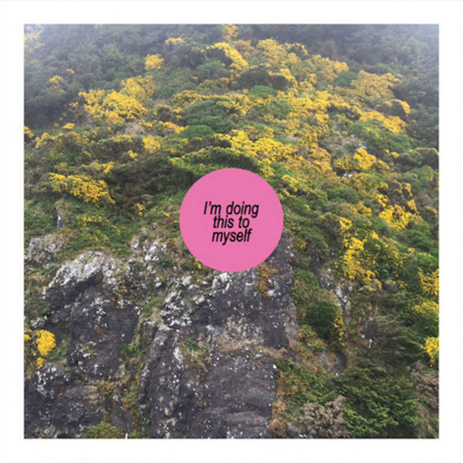 Picture of Alright - I'm Doing This To Myself