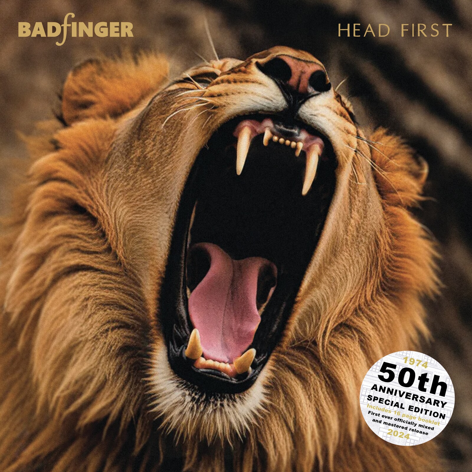 Picture of Badfinger - Head First