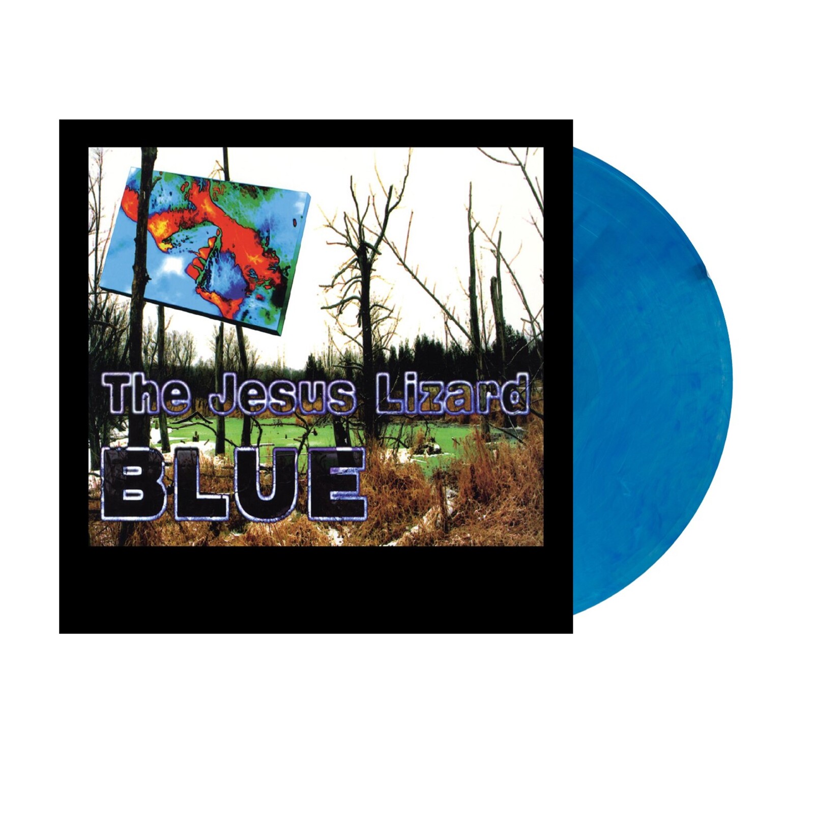 Picture of Jesus Lizard - Blue