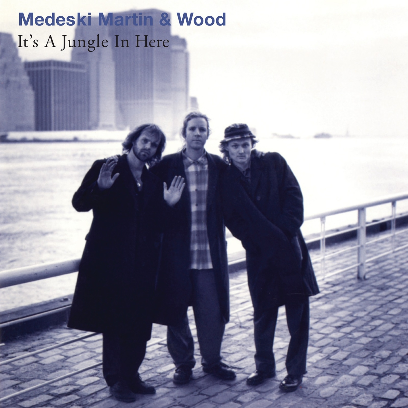 Picture of Medeski, Martin & Wood - It's A Jungle In Here