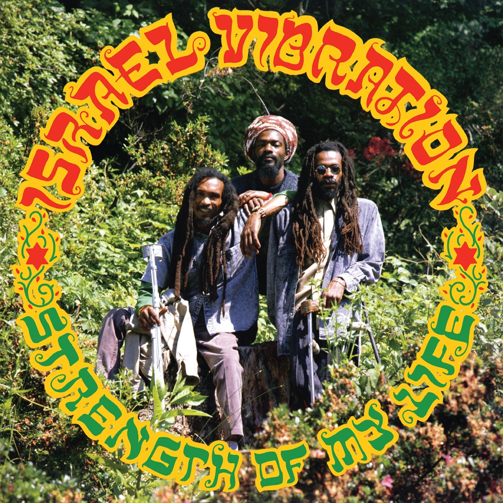 Picture of Israel Vibration - Strength Of My Life