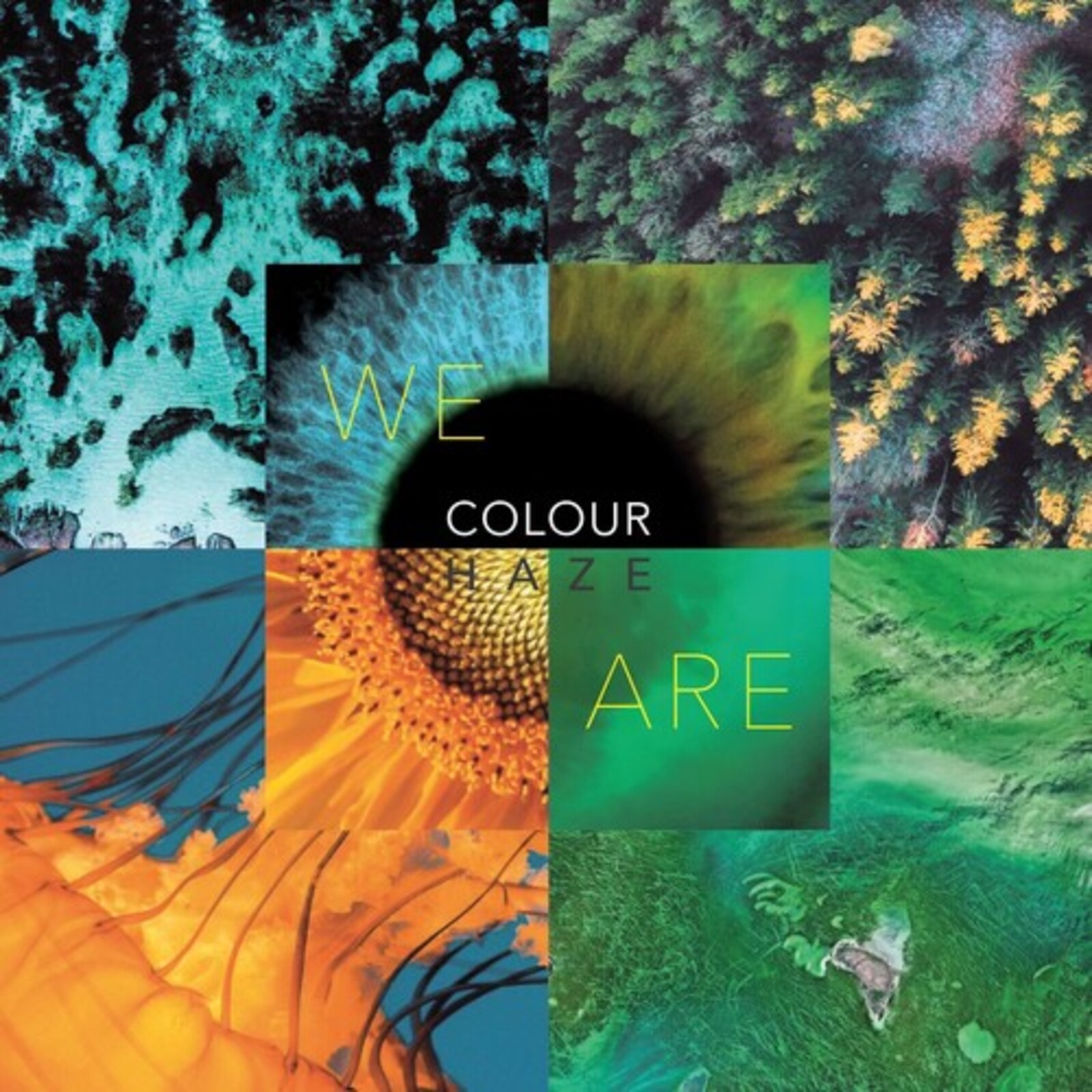 Picture of COLOUR HAZE - WE ARE