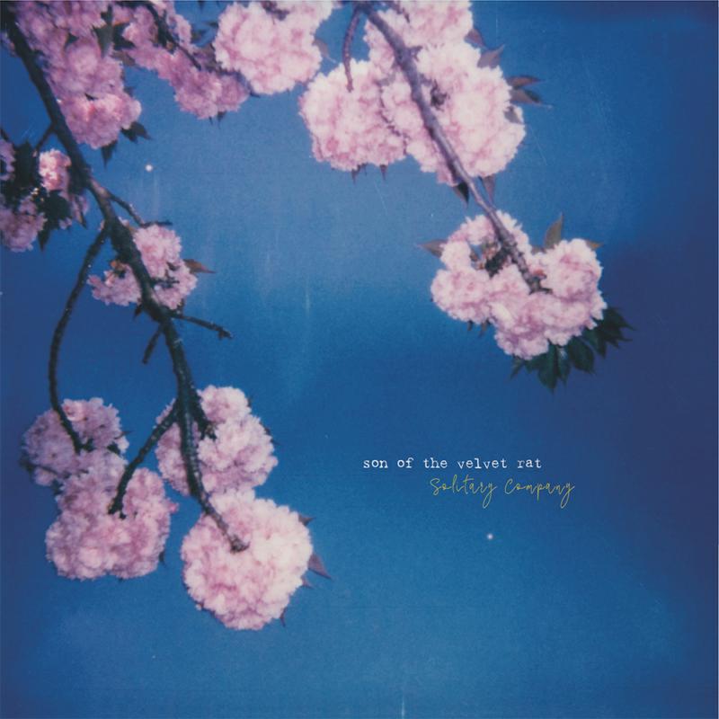 Picture of Son Of The Velvet Rat - Solitary Company