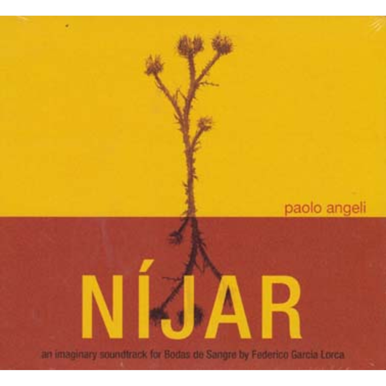 Picture of Paolo Angeli - Nijar