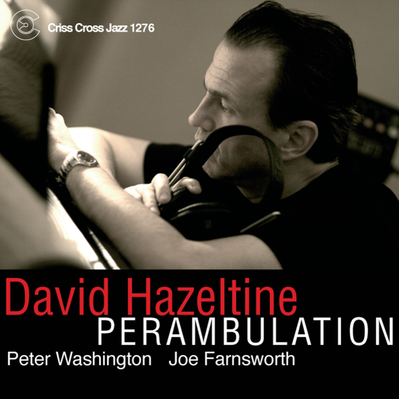 Picture of David Hazeltine - Perambulation