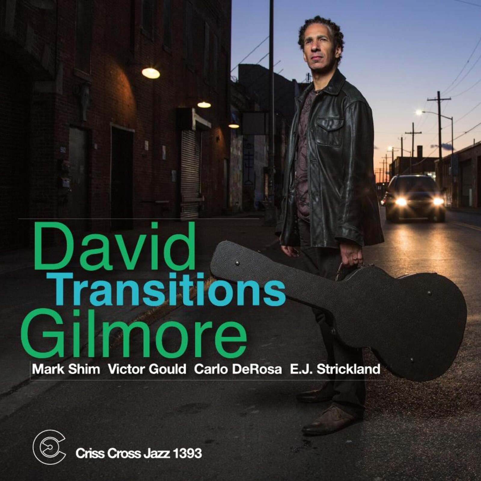 Picture of David Gilmore - Transitions