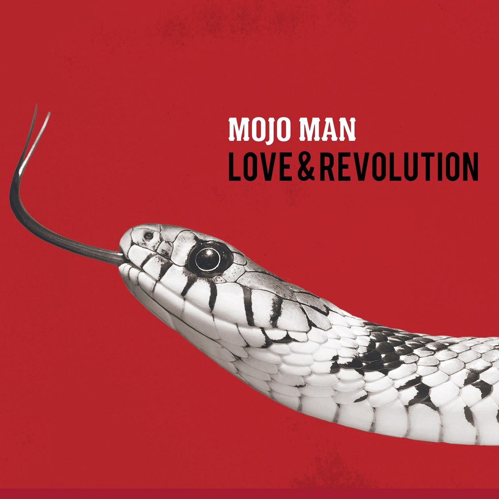 Picture of Mojo Man - Love & Revolution