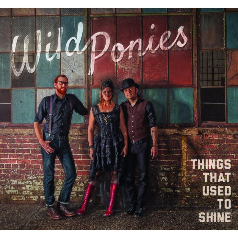 Picture of Wild Ponies - Things That Used To Shine