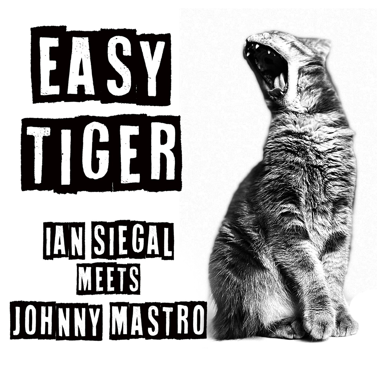 Picture of Ian Siegal & Johnny Mastro - Easy Tiger
